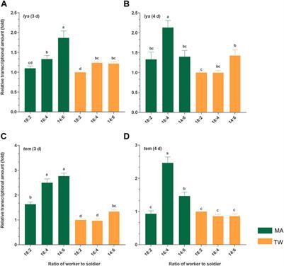 A High Soldier Proportion Encouraged the Greater Antifungal Immunity in a Subterranean Termite